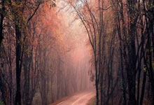 手机外围下载 -汤尤杯：中国女队击败丹麦队小组提前出线