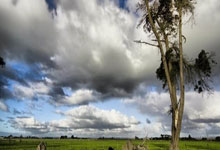 境外买球网站 -看着色泽红润的猪肉，为啥买回家后却黯淡失色？记者实地探访北京市场→